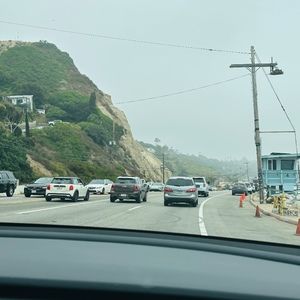 Meet your Posher, Hannah wingwing